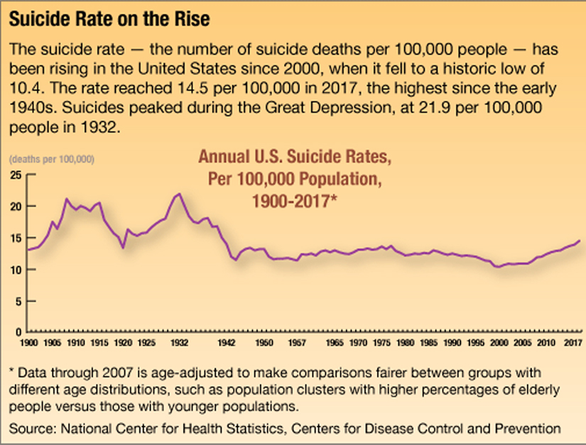 The suicide rate, the number of suicide deaths per 100,000 people — has been rising in the United States since 2000, when it fell to a historic low of 10.4.